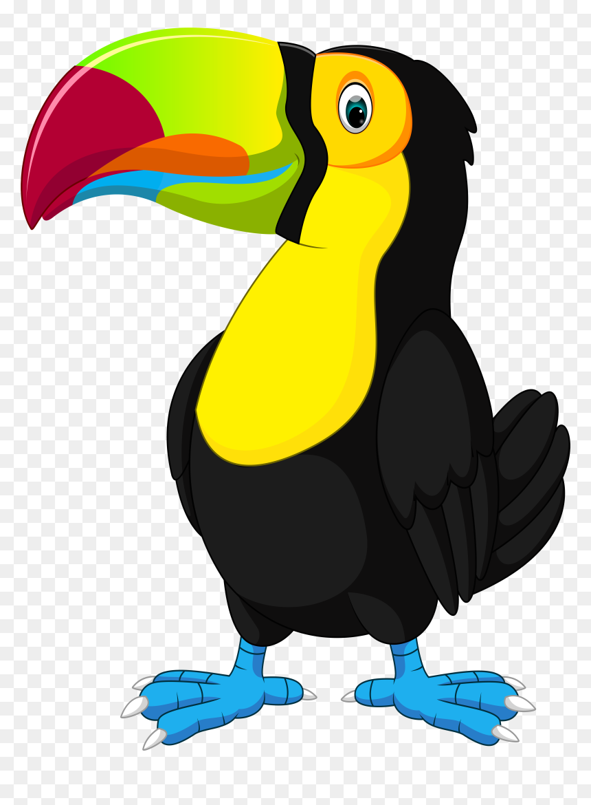 Toucan Png , Png Download - Toucan Clipart, Transparent Png - toucan png