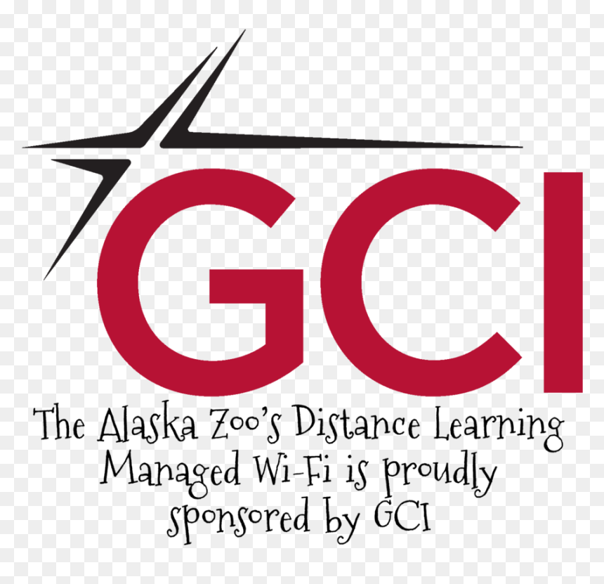 Gci Dl, HD Png Download - lularoe png