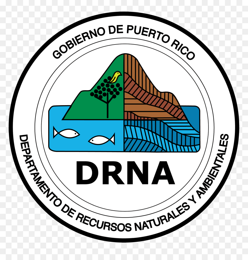 Drna Pr, HD Png Download - bandera de puerto rico png