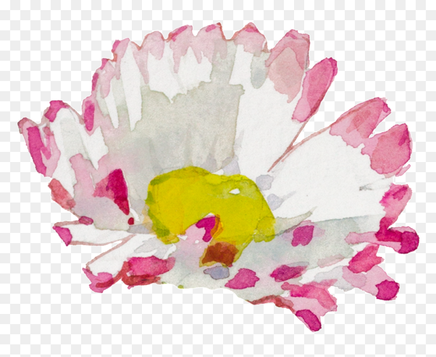 White Pink Hand Painted Chrysanthemum Watercolor Transparent - Child Art, HD Png Download - pink watercolor png