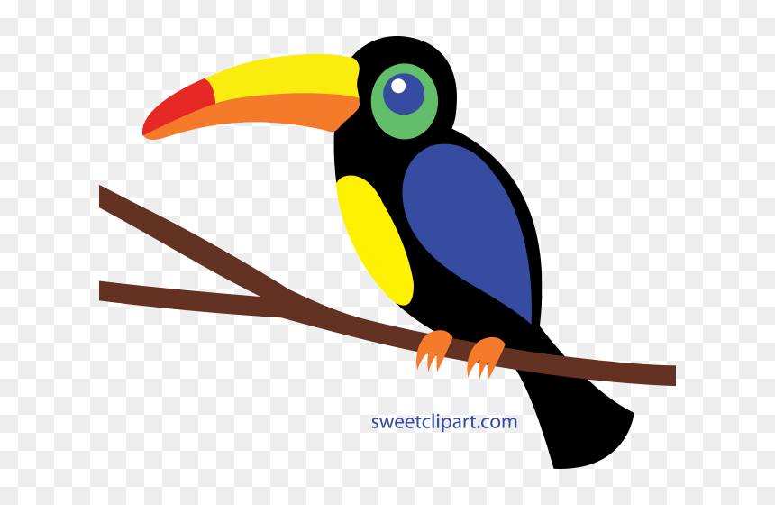Huge Freebie Download - Toucan Clipart Png, Transparent Png - toucan png
