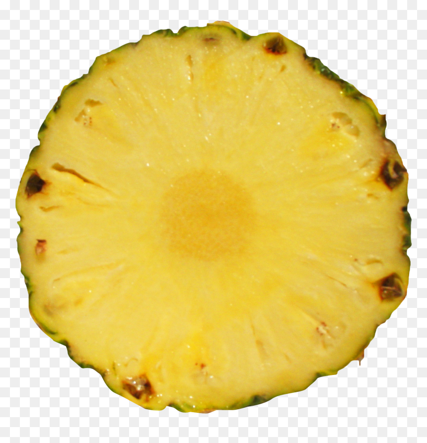 Transparent Pineapple Clipart Png - Pineapple Slice Png, Png Download - pineapple clipart png