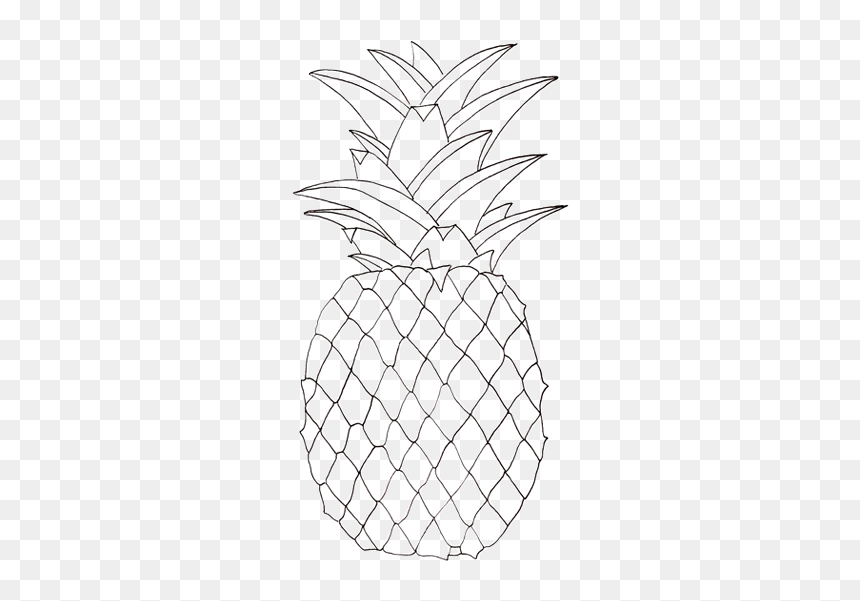 Pineapple Pictures To Colour, HD Png Download - pineapple clipart png