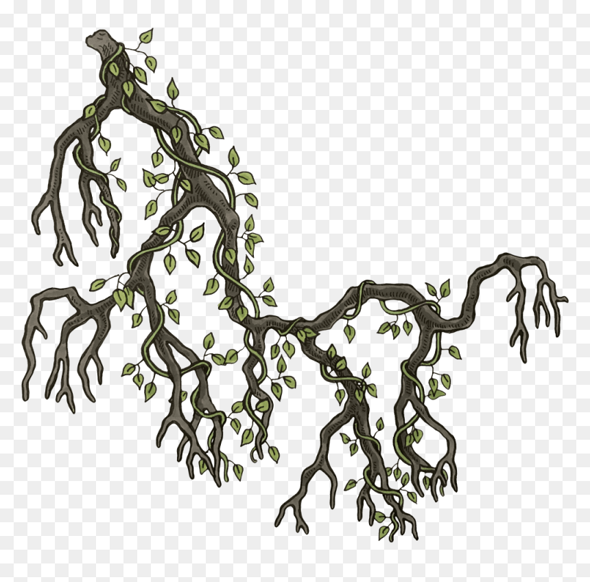 Illustration, HD Png Download - wall vines png