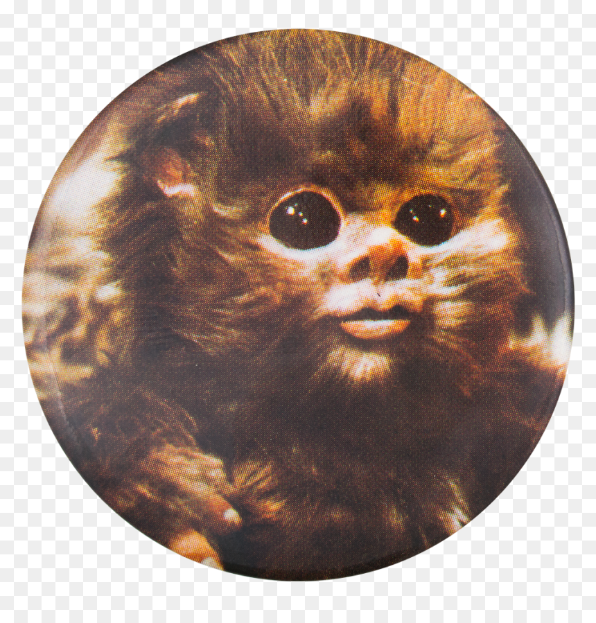 Thumb Image - Baby Ewoks Star Wars, HD Png Download - ewok png
