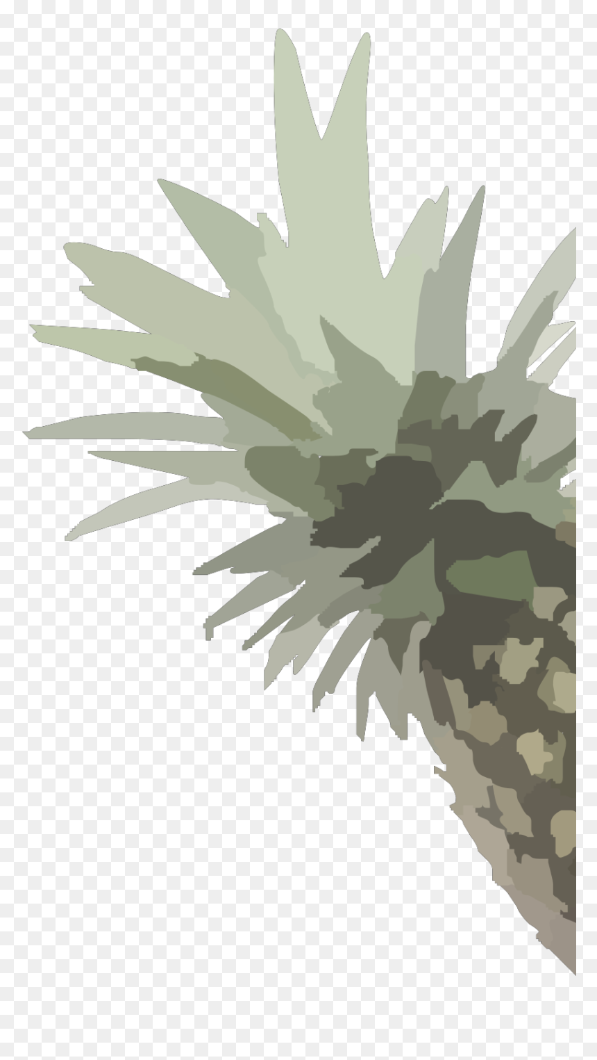 Pineapple, HD Png Download - pineapple clipart png