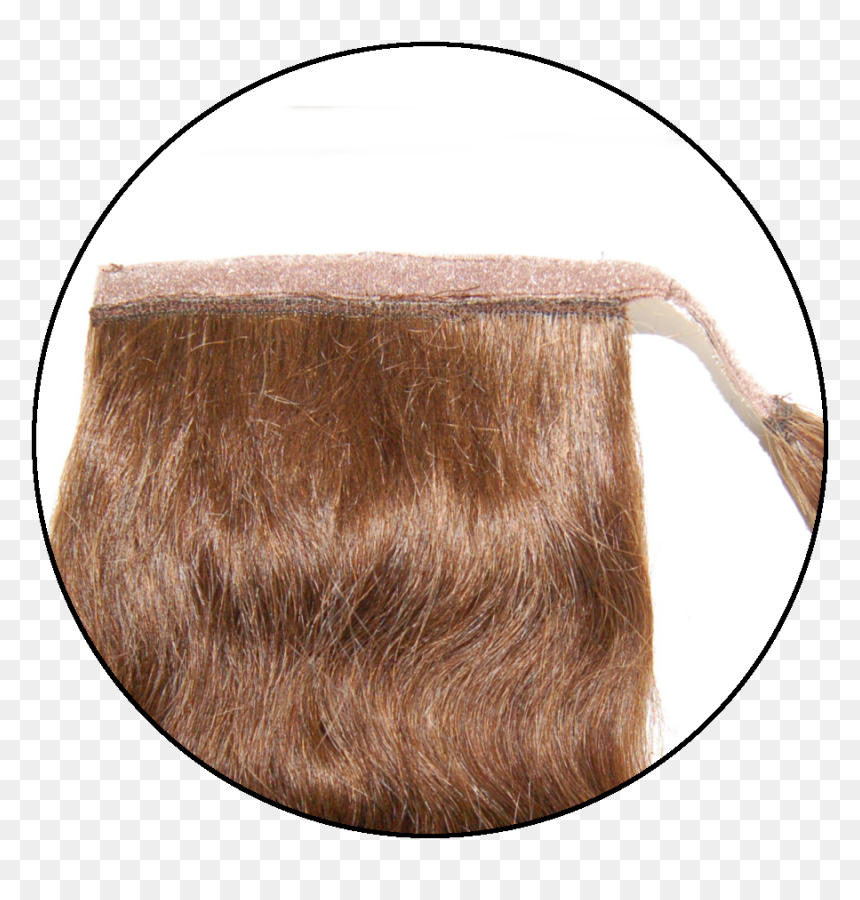 O"ra Velcro Ponytail - Lace Wig, HD Png Download - ponytail png