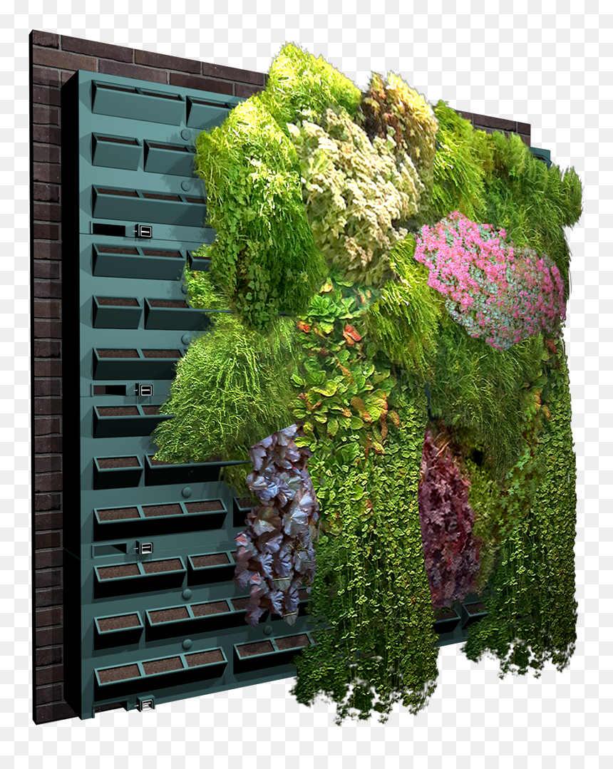 Vertical Garden Archicad, HD Png Download - wall vines png