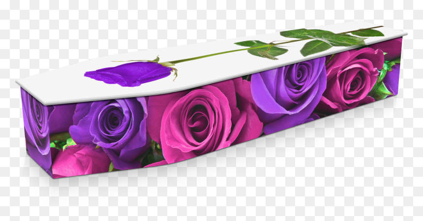 See More Pink & Purple Roses - Coffin With Roses, HD Png Download - purple roses png
