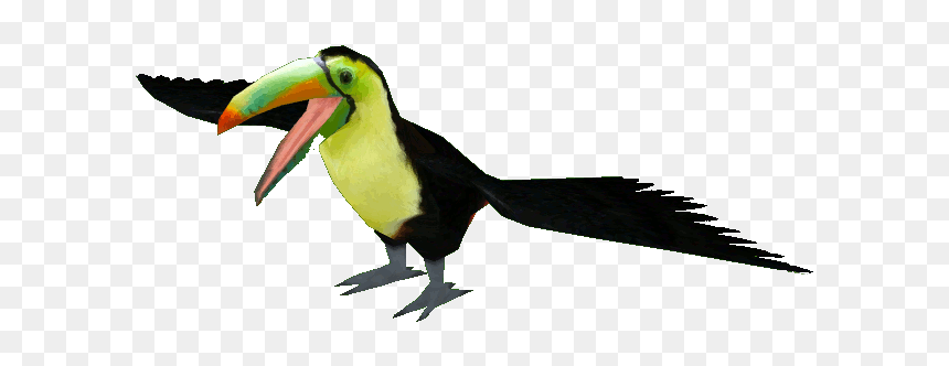 Keel Billed Toucan Png - Keel Billed Toucan Zt2, Transparent Png - toucan png