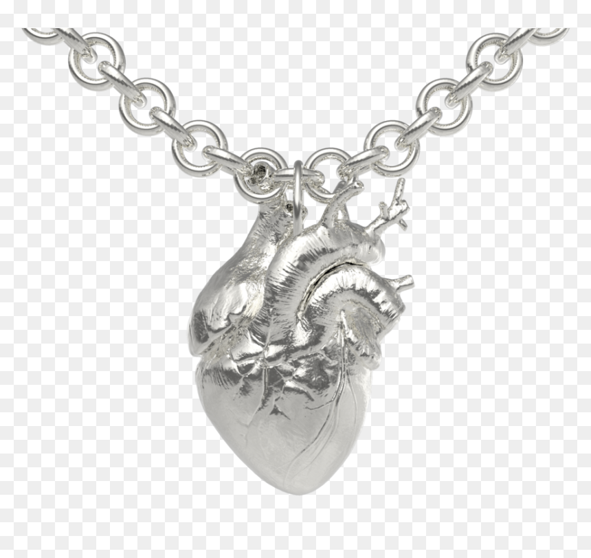 The Anatomical Heart - Cardcaptor Sakura, HD Png Download - anatomical heart png