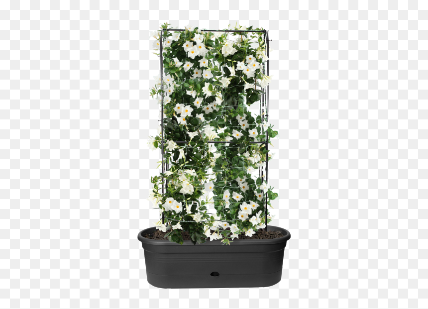 Flowerpot, HD Png Download - wall vines png