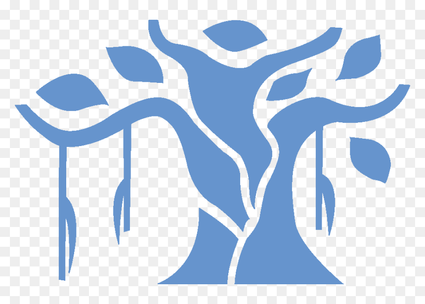 Banyan, HD Png Download - jeff kaplan png