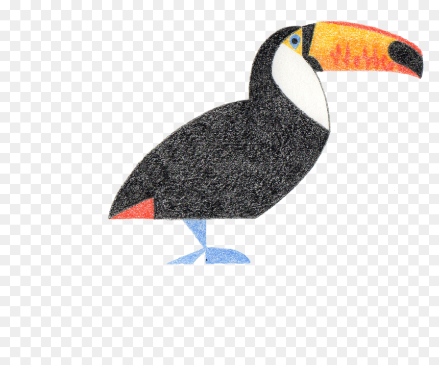 Toucan, HD Png Download - toucan png