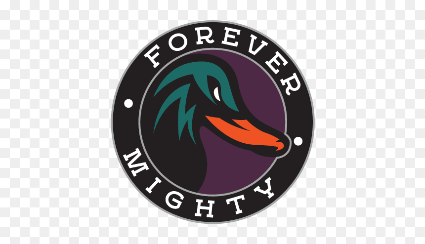 Logo - 2010 Interliga, HD Png Download - anaheim ducks logo png