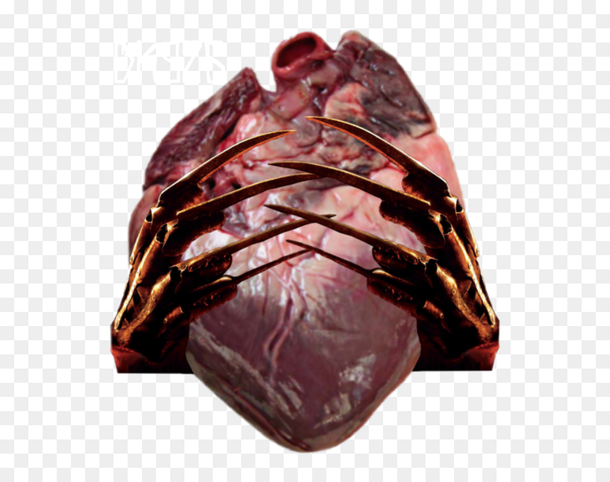 Chocolate, HD Png Download - freddy png
