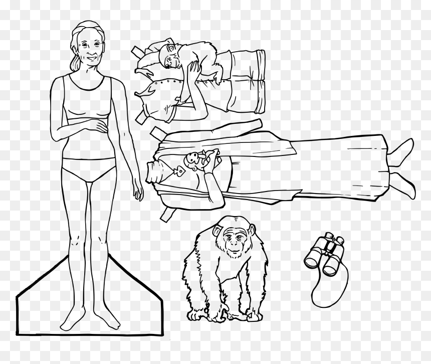 Carl Sagan Janegoodall Jane Goodall Neil Degrasse Tyson - Line Art, HD Png Download - neil degrasse tyson png