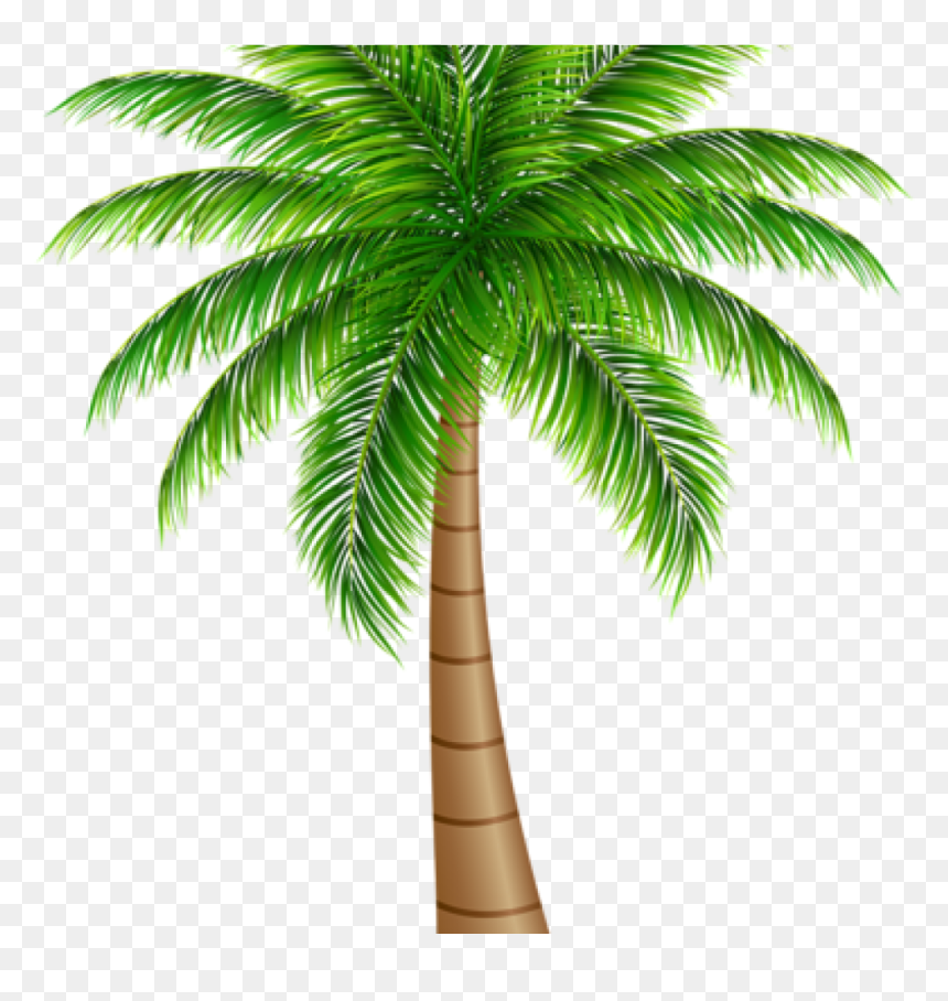 Balloon Hatenylo Com Tree - Date Palm Tree Png, Transparent Png - palm tree emoji png
