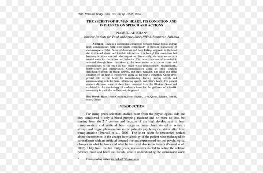 Reflection Paper About Kinship, HD Png Download - anatomical heart png