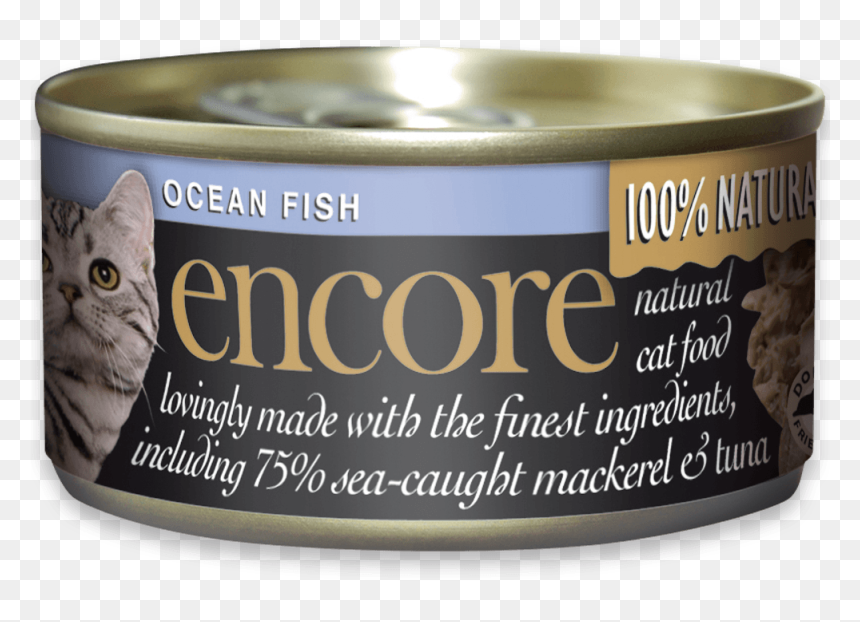 Transparent Ocean Fish Png - British Shorthair, Png Download - ocean fish png