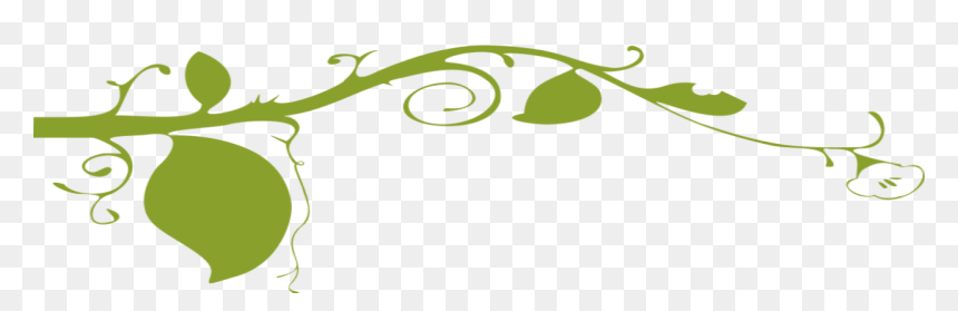 The Pumpkin River Store - Png Plant Graphic, Transparent Png - wall vines png