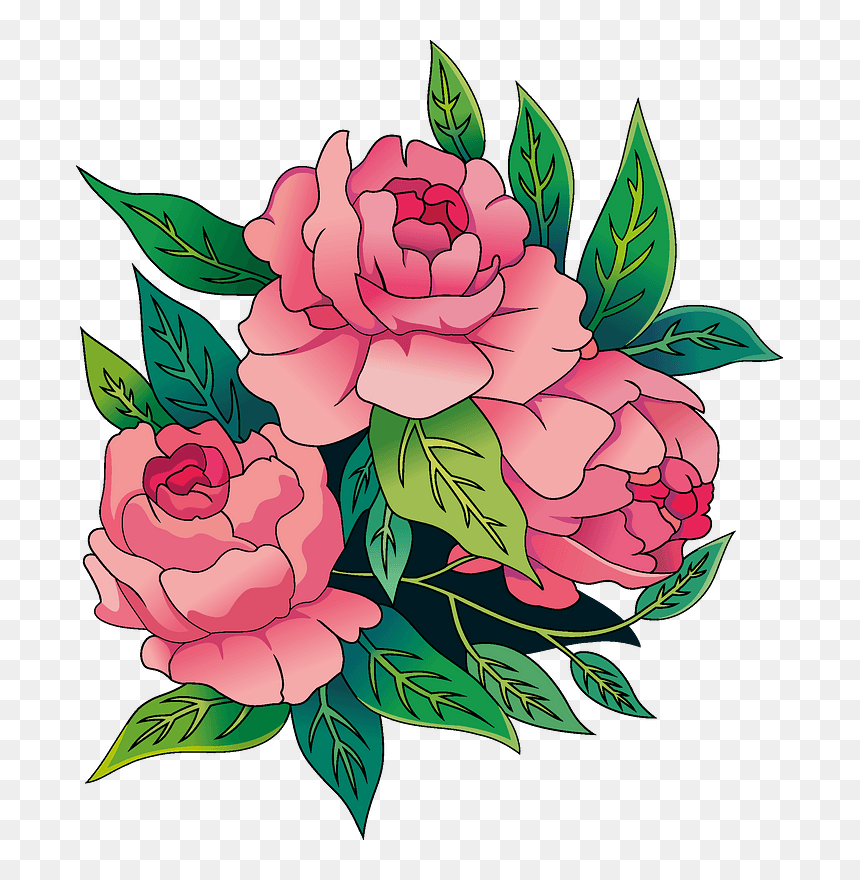 Peonies Clipart - Japanese Camellia, HD Png Download - peonies png