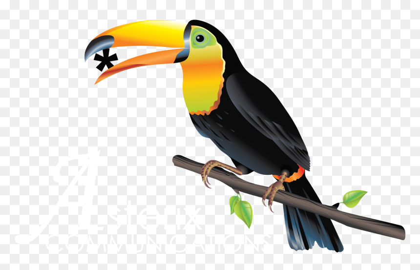 Asterix Logo Jungle - Toucans, HD Png Download - toucan png
