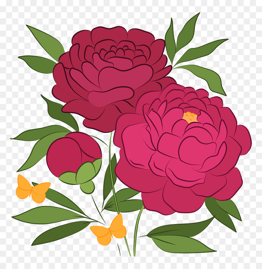 Peonies Clipart - Common Zinnia, HD Png Download - peonies png