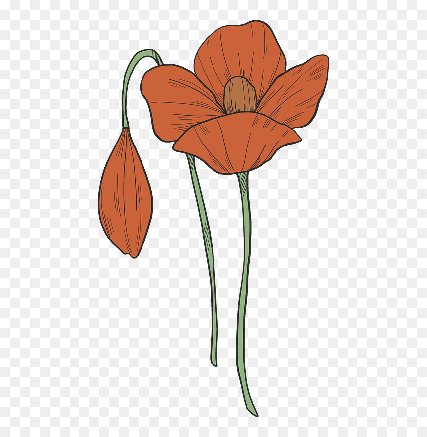 Poppy Troll Png, Transparent Png - poppy troll png