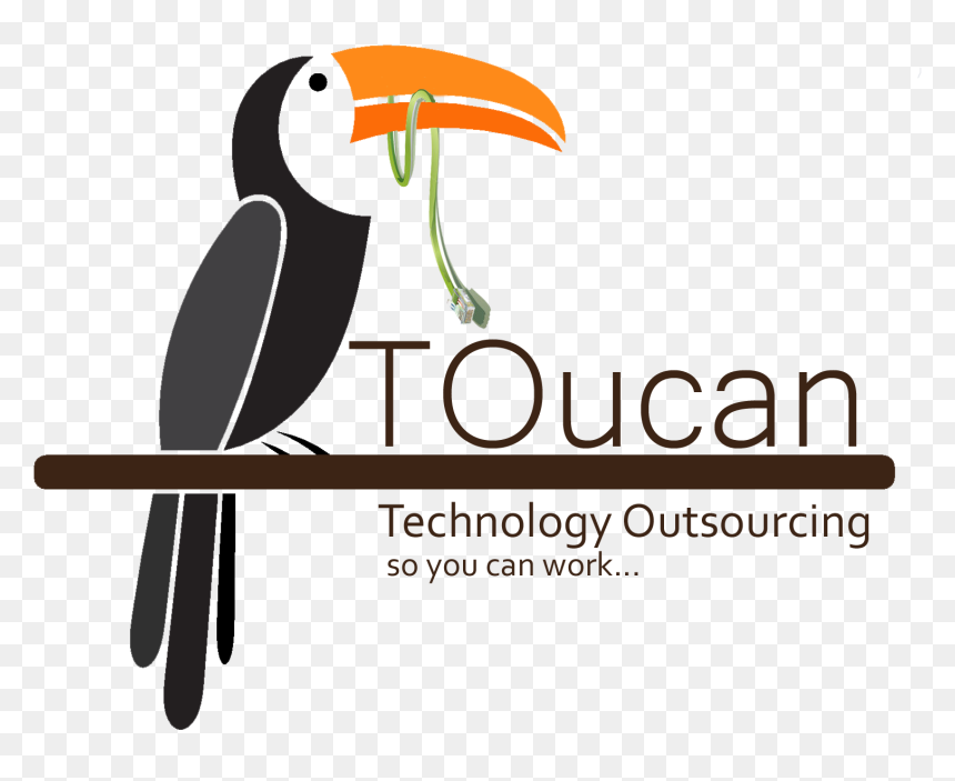 Tucan , Png Download - Vector Graphics, Transparent Png - toucan png
