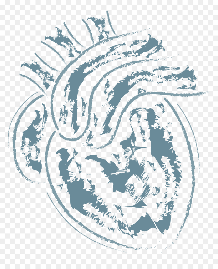 Illustration, HD Png Download - anatomical heart png