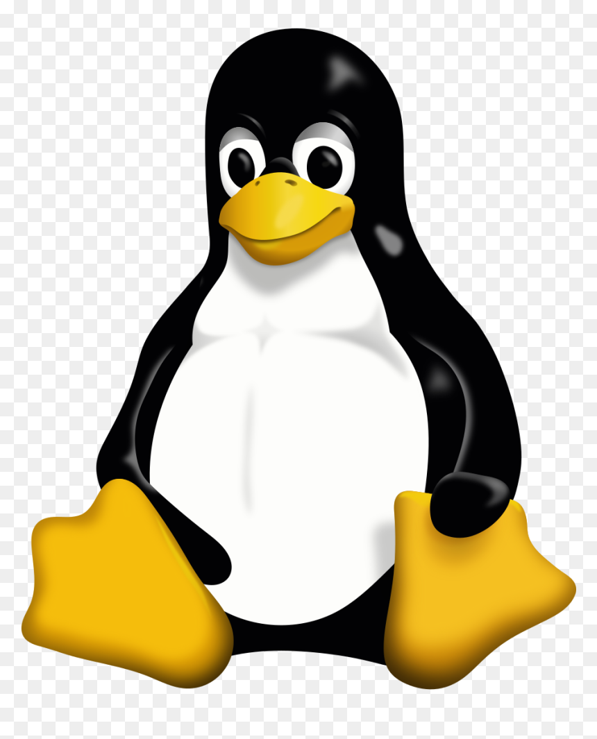 Linux Logo In Png, Transparent Png - pingu png