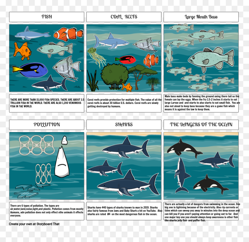 Shark, HD Png Download - ocean fish png