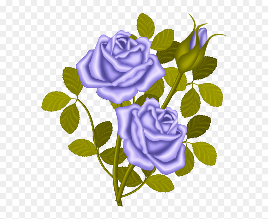 Lavender Roses - Proud Rose Story, HD Png Download - purple roses png