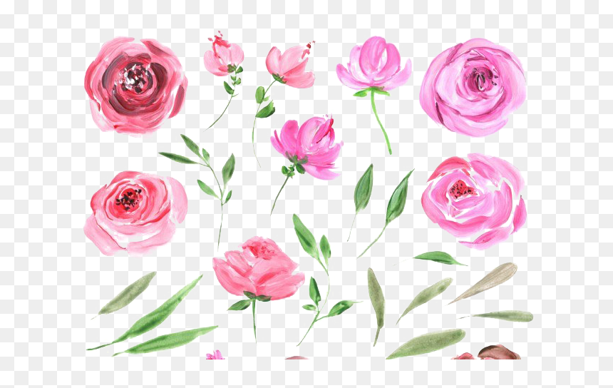 Peonies Free Png Image - Water Color Rose .png, Transparent Png - peonies png