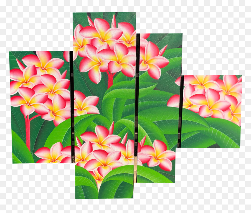 Transparent Plumeria Flower Png - Frangipani, Png Download - plumeria png