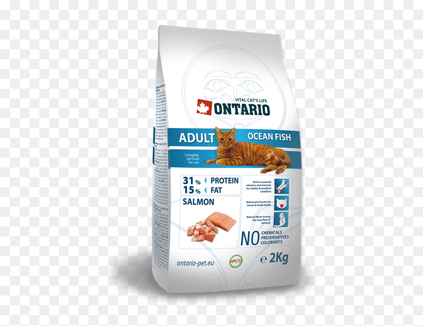 Obrázek Ontario Adult Ocean Fish 2kg - Ontario Kitten, HD Png Download - ocean fish png