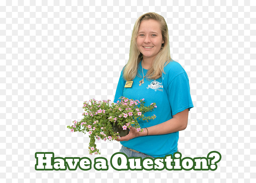 Warren"s Southern Gardens Expert Kathryn - Bouquet, HD Png Download - flower bush png