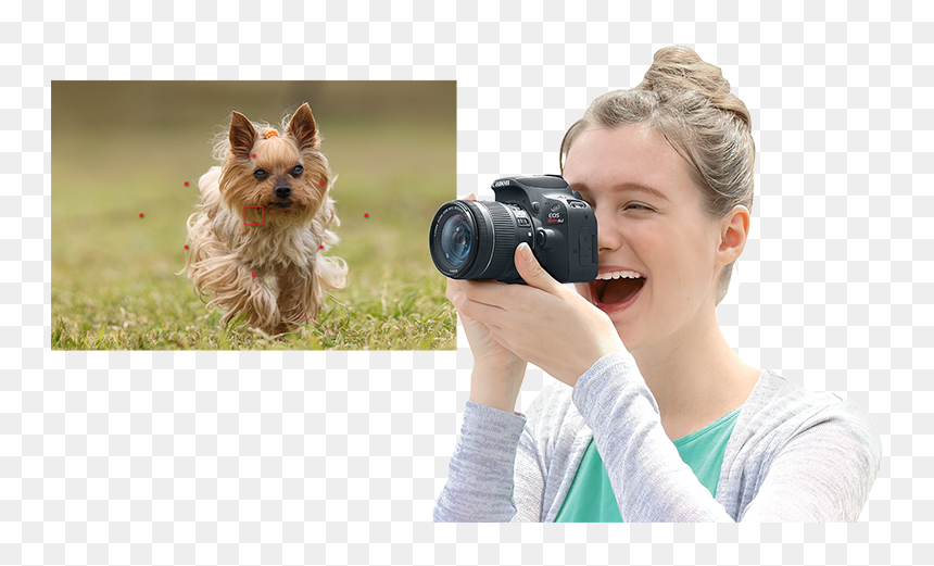 Yorkshire Terrier, HD Png Download - camera viewfinder png