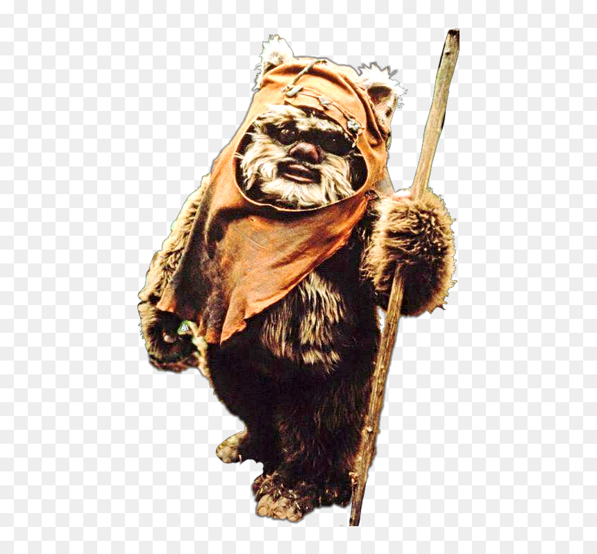 Oso Guerra De Las Galaxias, HD Png Download - ewok png