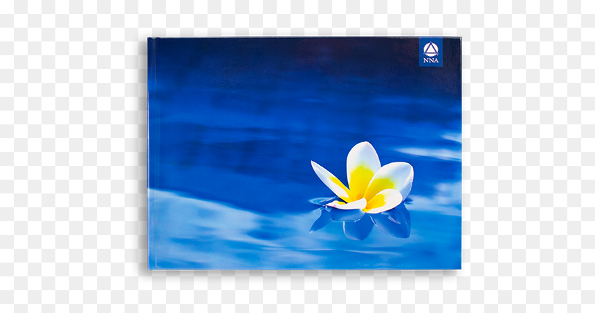 Deluxe Journal - Plumeria Flower - Crocus, HD Png Download - plumeria png