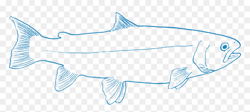 Coral Reef Fish, HD Png Download - ocean fish png