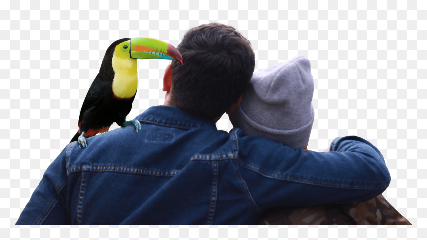 Couple And Toucan - Couple From The Back Png, Transparent Png - toucan png