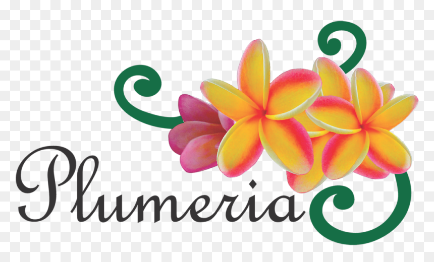 Logo - Daughters Of Cambodia, HD Png Download - plumeria png