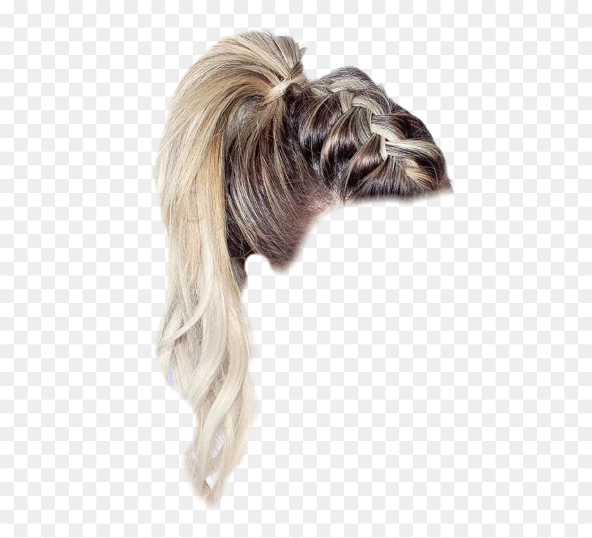 #braid #ponytail #blond #niche #vsco #hair - Cite Hair Styles Ponytail, HD Png Download - ponytail png