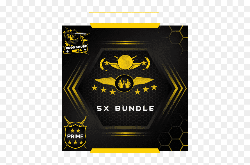 Buy Csgo Bundle Accounts - 2019 Service Medal Csgo, HD Png Download - csgo character png