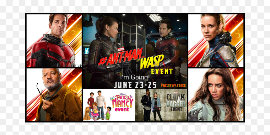 Ant-man And The Wasp Event - Collage, HD Png Download - ant man png