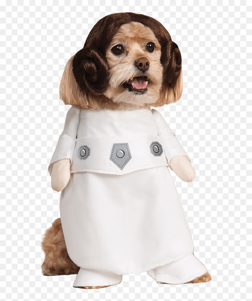Star Wars Princess Leia Dog Costume, HD Png Download - princess leia png