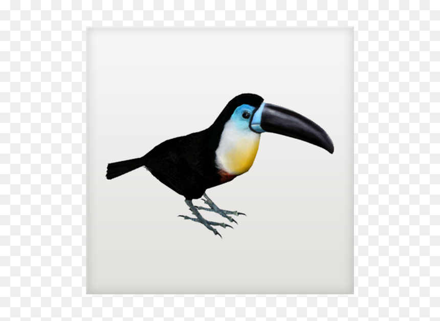 Toucan, HD Png Download - toucan png