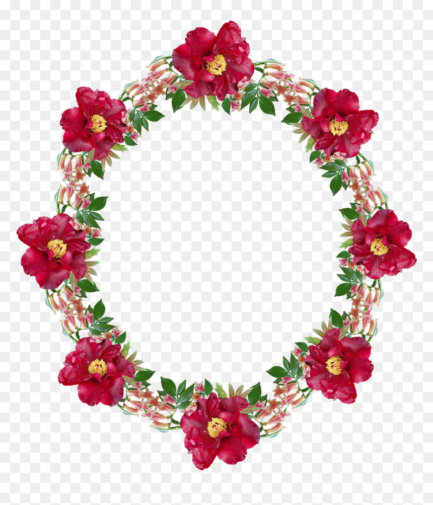 Hello Kitty Earrings Tarina Tarantino, HD Png Download - peonies png
